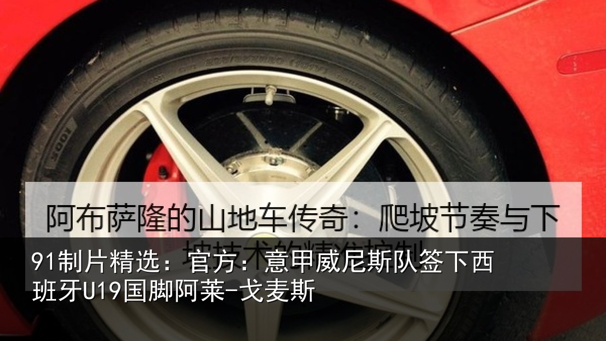 91制片精选:官方:意甲威尼斯队签相关情况-戈麦斯